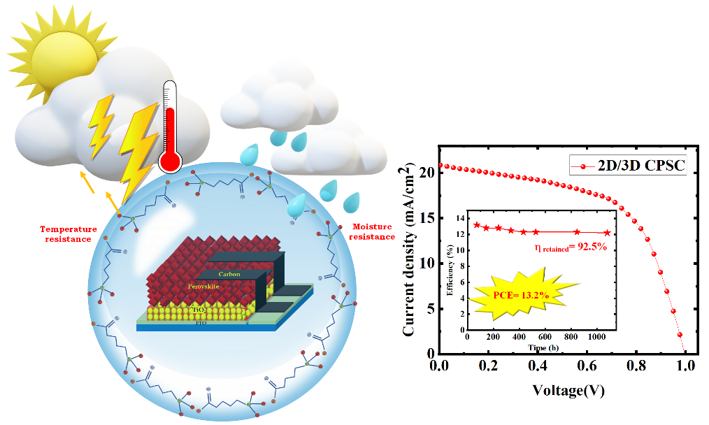 perovskite solar cell