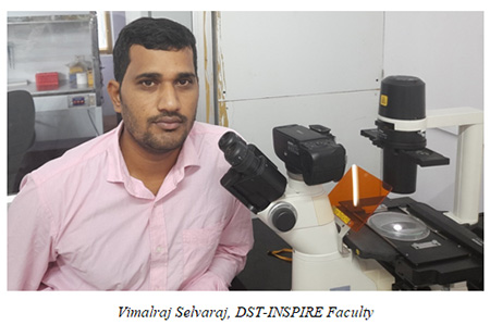 DST INSPIRE faculty from Chennai working on alternative anti-cancer therapy using transgenic zebrafish