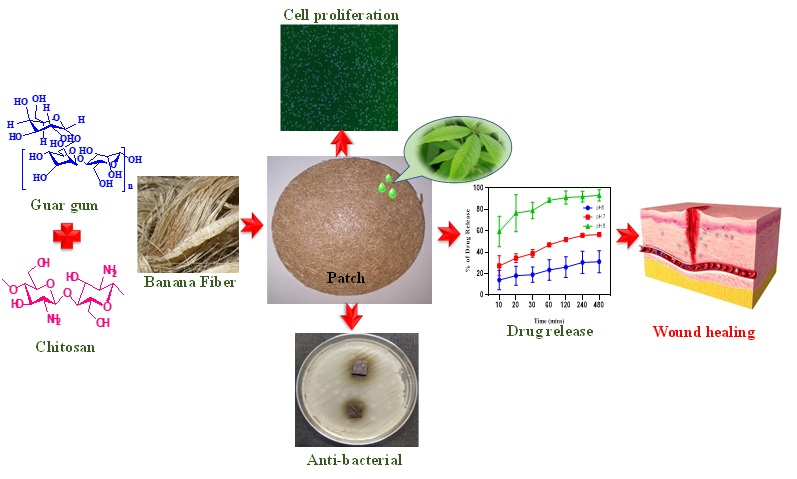 Eco-Friendly wound dressing developed by Indian scientists using banana fibres