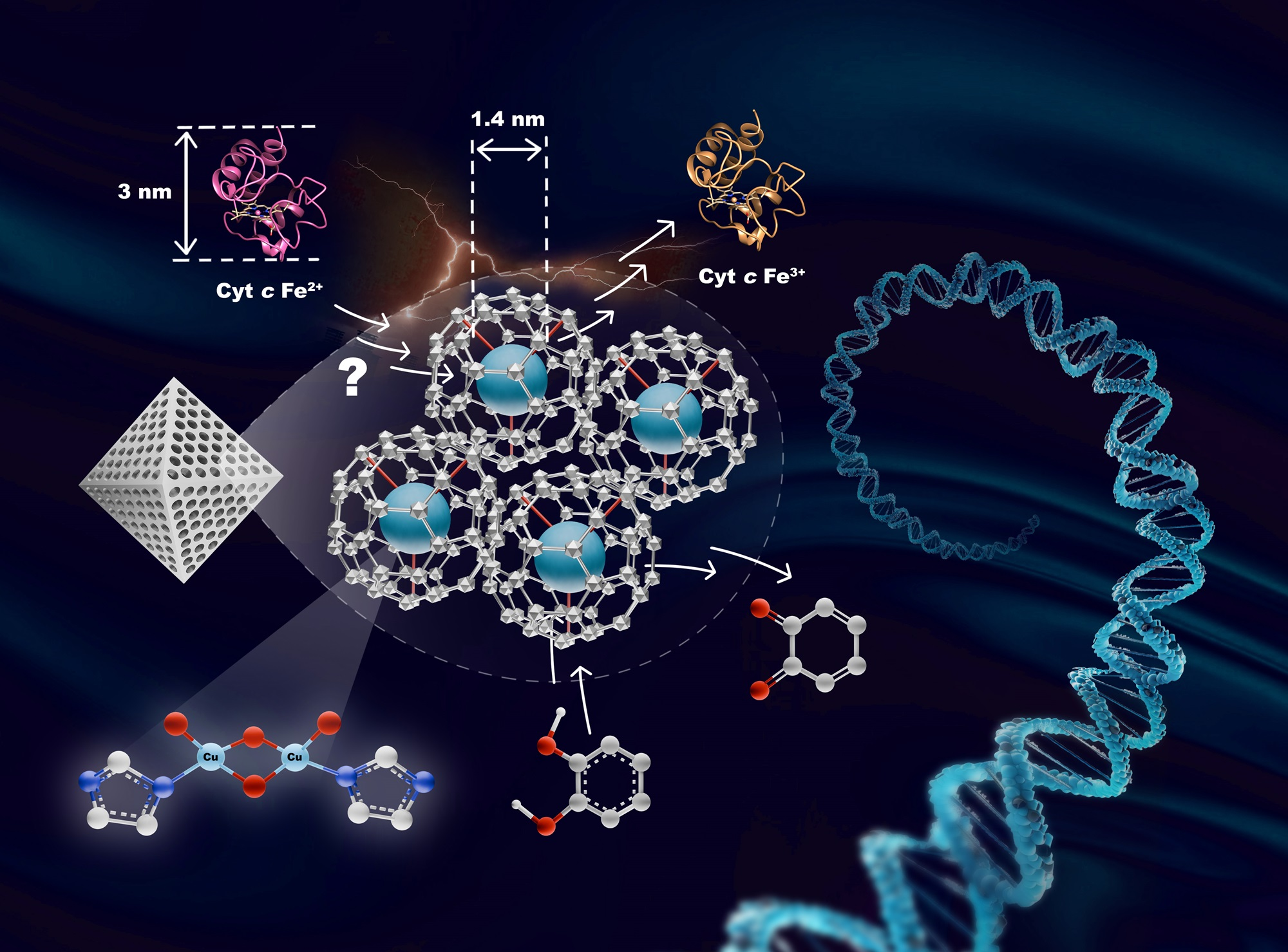 Nanozymes