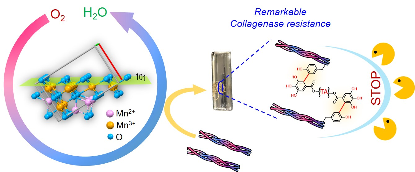 Nanozymes