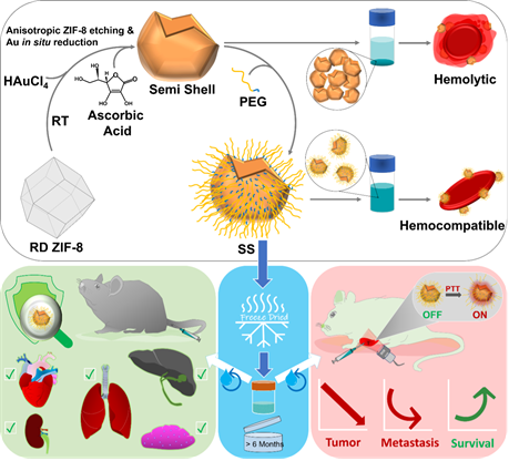 PEGylation-assisted
