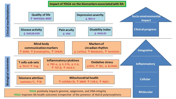 Rheumatoid Arthritis (RA)