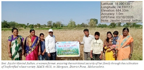 Scientists of ARI, Pune develop biofortified, high protein wheat variety 