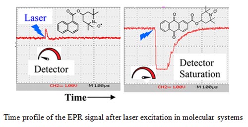 Time profile of the EPR signal after laser excitation in molecular systems