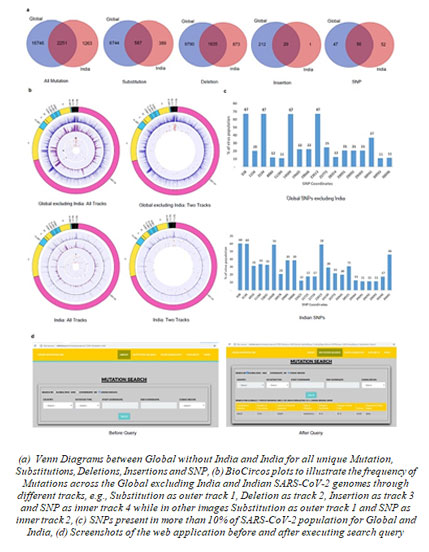 Tracking global genetic variability, predicting viral sequences to resolve COVID 19 challenge 